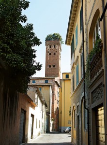 gallery_lucca_1_2